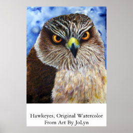 ホーキーズ ポスター