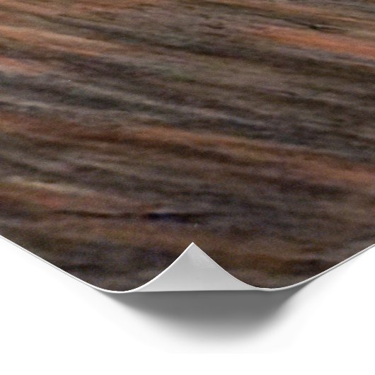 ホーキー ポスター (角)