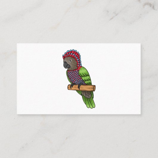 ホークのオウムの鳥の漫画イラストレーション 名刺 (裏面)