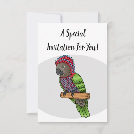 ホークのオウムの鳥の漫画イラストレーション 招待状 (裏面)