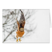 ホークのフライト (正面横)