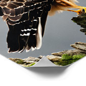 ホークのポートレートを閉じる ポスター (角)