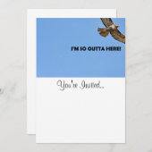 ホークの写真 招待状 (正面/裏面)