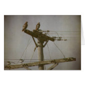 ホークの力 (正面横)