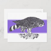 ホークの白黒のイラストレーション ポストカード (正面/裏面)