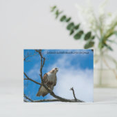 ホークオンザ狩り ポストカード (スタンド正面)