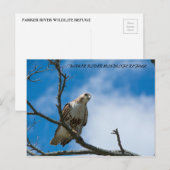 ホークオンザ狩り ポストカード (正面/裏面)