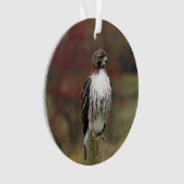 ホークオーナメント オーナメント (正面)