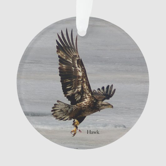 ホークオーナメント オーナメント (正面)