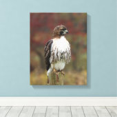 ホークキャンバス キャンバスプリント (インサイチュ (ウッドフロア))