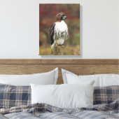 ホークキャンバス キャンバスプリント (インサイチュ (寝室))