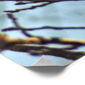 ホークスアイ ポスター (角)