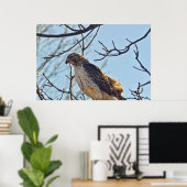 ホークスアイ ポスター (ホームオフィス)