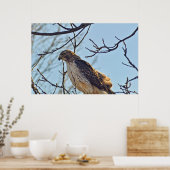 ホークスアイ ポスター (キッチン)