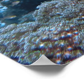 ホークスビルオブラジャアンパット ポスター (角)