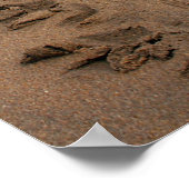 ホークスビルタートルトレックプリント ポスター (角)