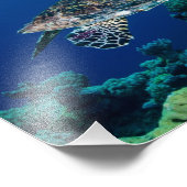 ホークスビル海タートルフォトプリント フォトプリント            (角)