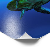 ホークスビル海タートルフォトプリント フォトプリント            (角)