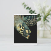 ホークスビル・エンジェル ポストカード (スタンド正面)