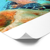 ホークスビル・カメ ポスター (角)