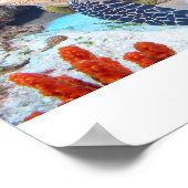 ホークスビル ポスター (角)