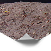 ホークス ポスター (角)