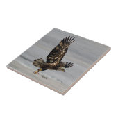 ホークタイル タイル (側面)