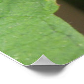 ホークモスポスター ポスター (角)