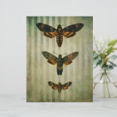 ホークモスヴィンテージスクラップブックエフェメラ (スタンド正面)