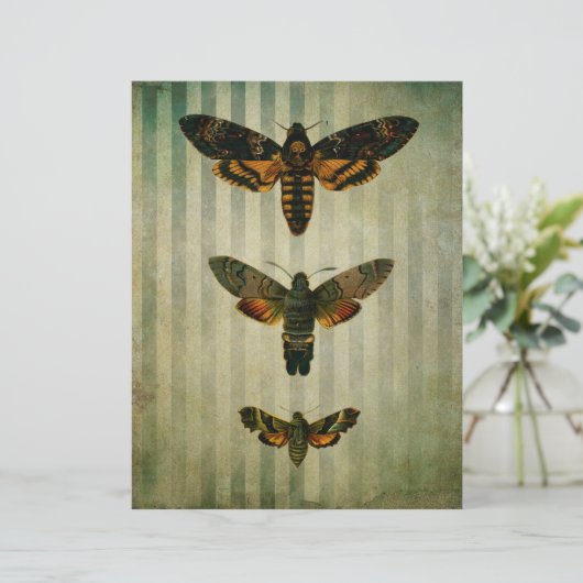 ホークモスヴィンテージスクラップブックエフェメラ (スタンド正面)