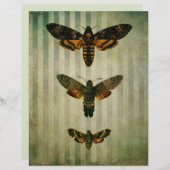 ホークモスヴィンテージスクラップブックエフェメラ (正面/裏面)