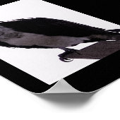 ホーク写真 ポスター (角)