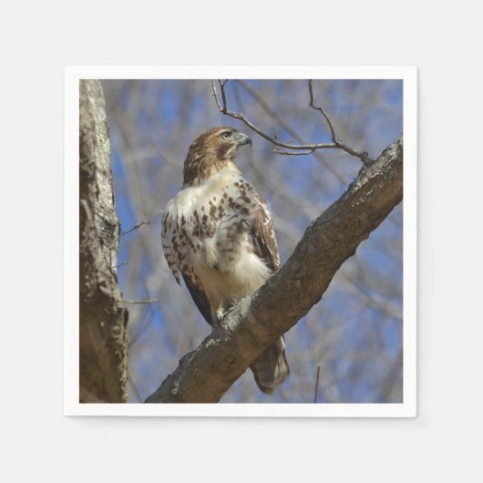 ホーク威厳のある スタンダードカクテルナプキン (正面)