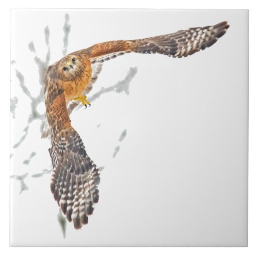 ホーク機内 タイル (正面)