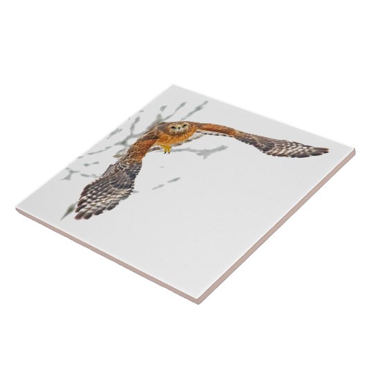 ホーク機内 タイル (側面)