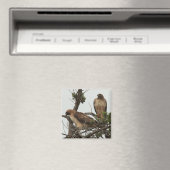 ホーク磁石3 マグネット (インサイチュ (食洗機))