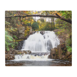 ホーク秋in秋24"x20" メタルプリント