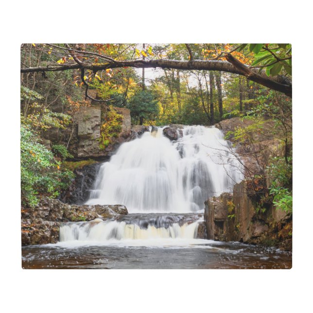 ホーク秋in秋24"x20" メタルプリント (正面)