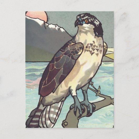 ホーク絵を描の数 ポストカード (正面)