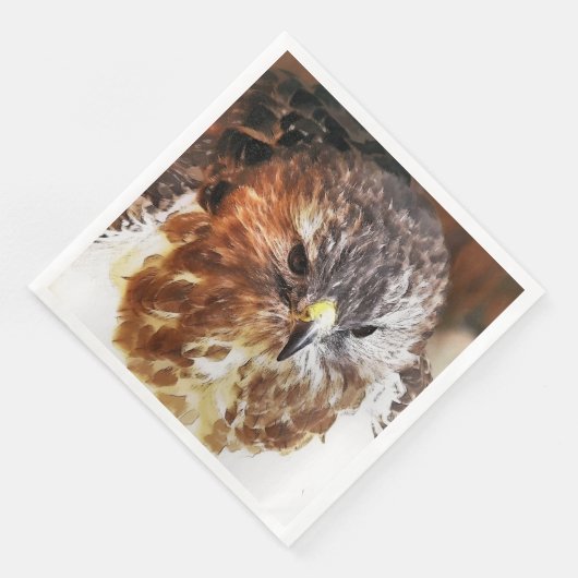 ホーク (コーナー)