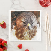 ホーク (インサイチュ)