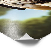 ホーク・アート・ポスター フォトプリント            (角)