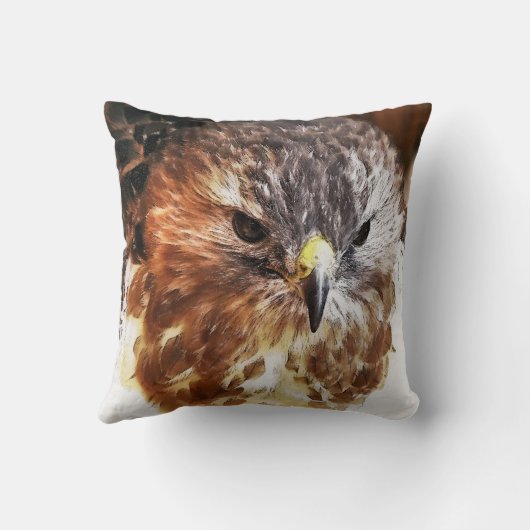 ホーク クッション (裏面)