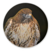 ホーク セラミックノブ (正面)