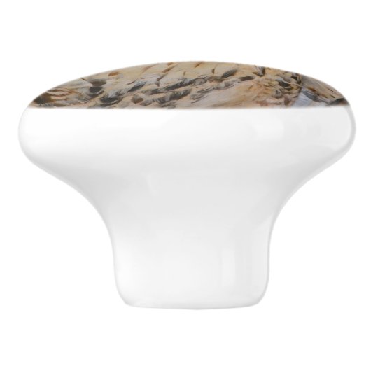 ホーク セラミックノブ (側面)