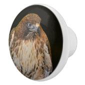 ホーク セラミックノブ (右)