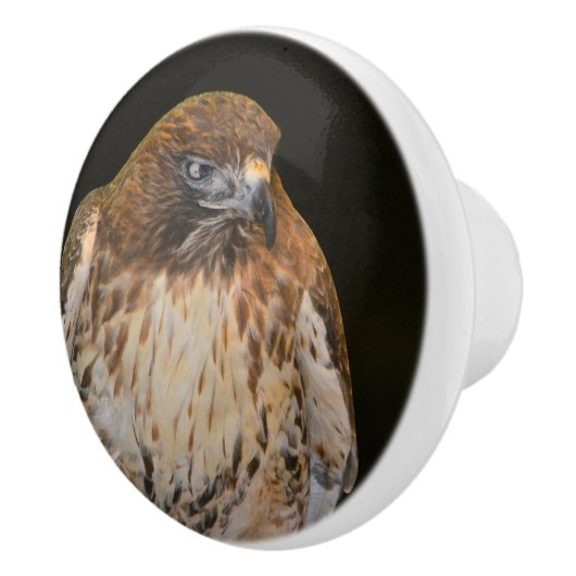 ホーク セラミックノブ (右)