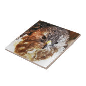 ホーク タイル (側面)