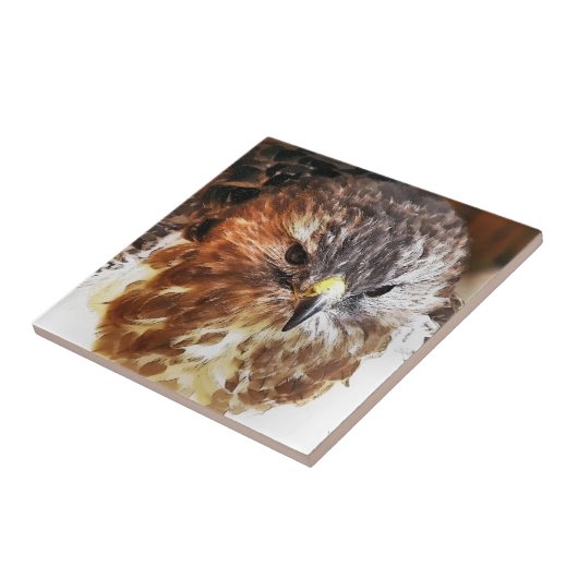 ホーク タイル (側面)