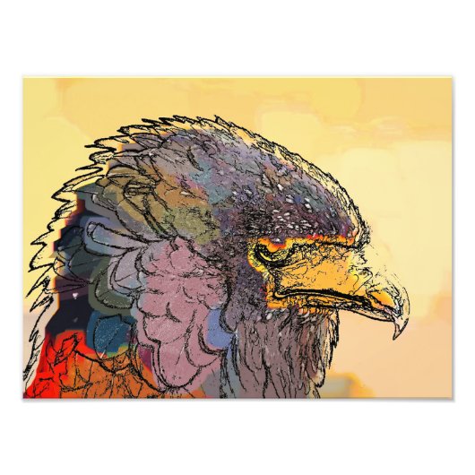 ホーク フォトプリント            (正面)